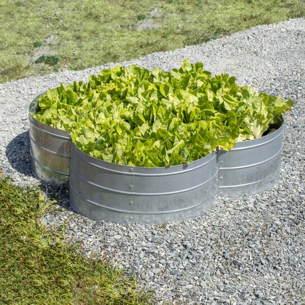 Galvanized Steel 4 Leaf Garden Bed